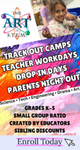 Art of Stem Camps